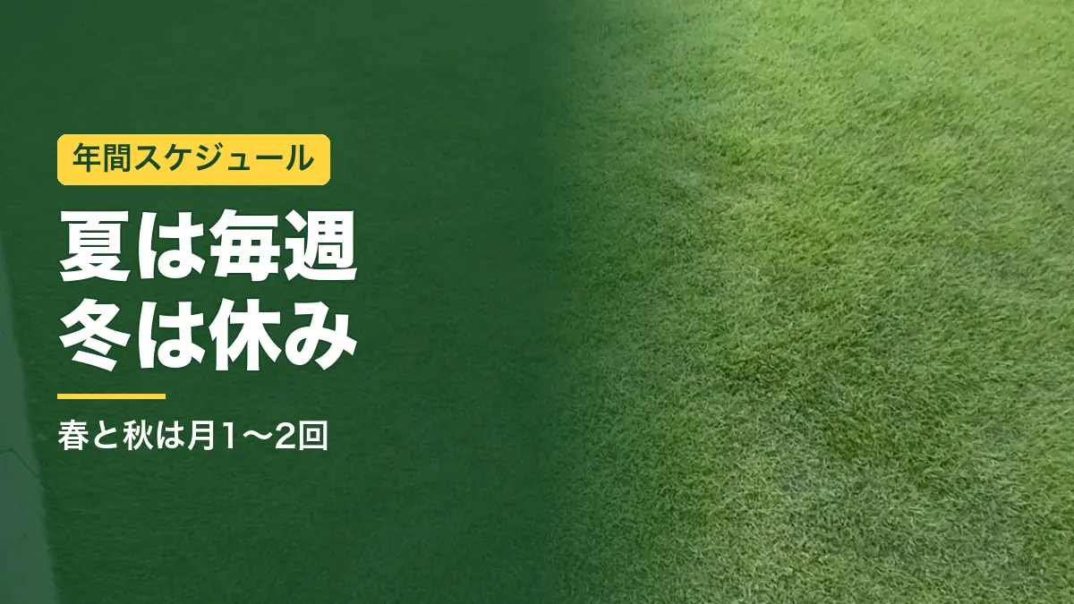 刈り込んだ姫高麗芝の庭。芝刈りの頻度は季節で変える