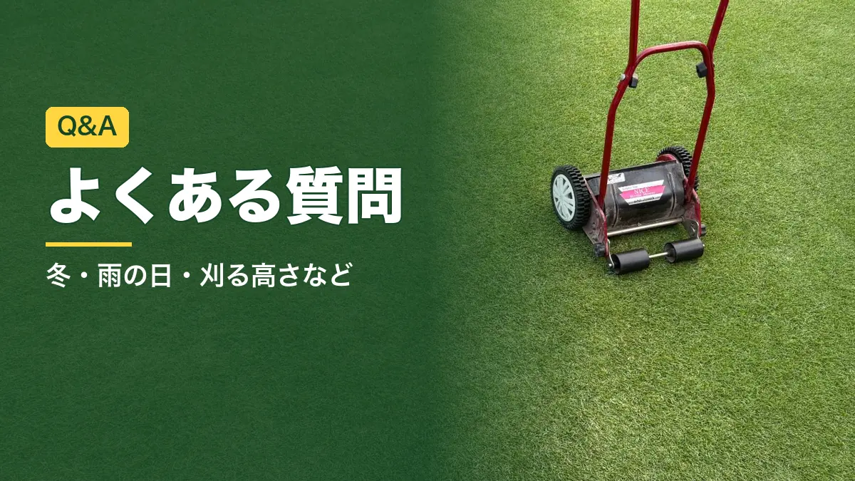 芝生の上の手動リール式芝刈り機。芝刈りの頻度と高さのよくある質問