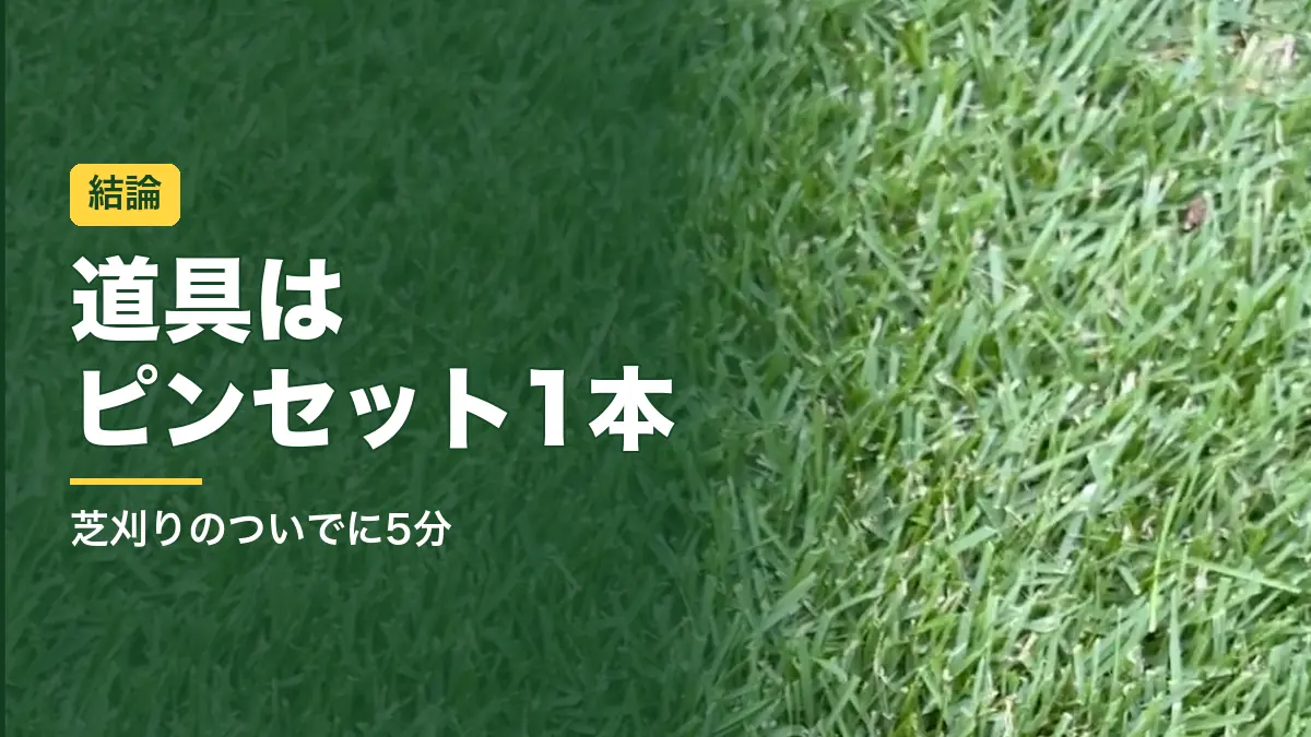 密度の高い姫高麗芝のアップ。芝生の雑草対策はピンセット1本で十分