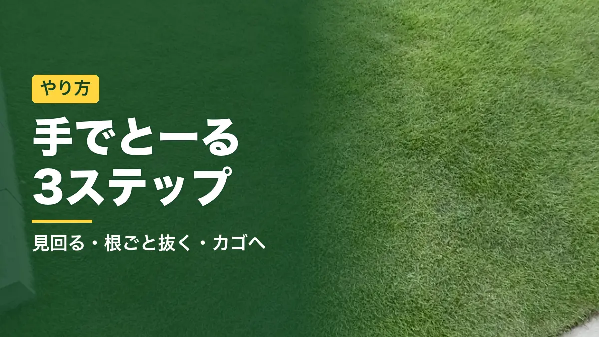 芝刈り後の姫高麗芝の庭。手で雑草を取る手でとーるのやり方