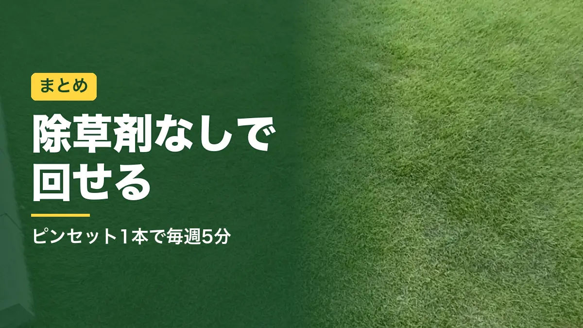 きれいに刈り込んだ芝生の庭。除草剤なしの雑草対策のまとめ