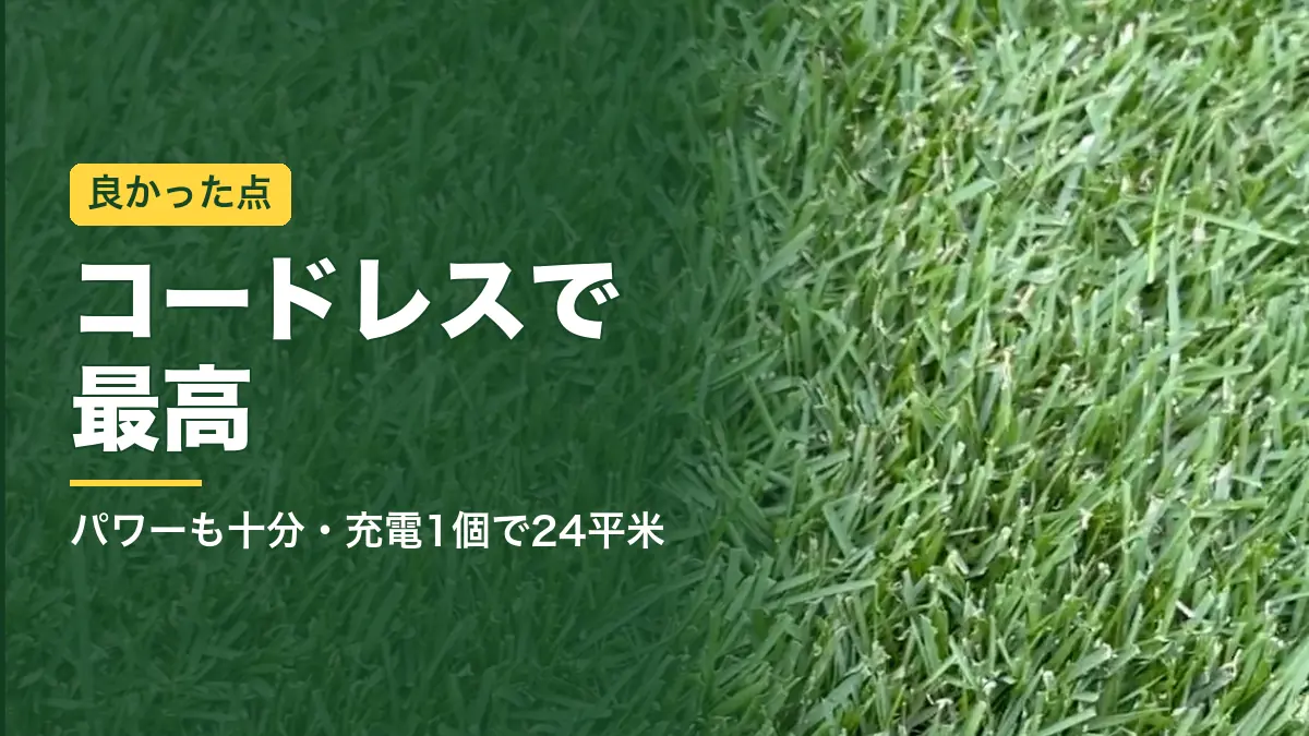 MLM230Dで刈った姫高麗芝のアップ